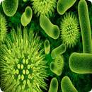 Biologie APK