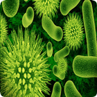 Biology آئیکن