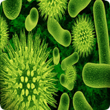 آیکون‌ Biology