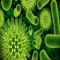 Biology پوسٹر