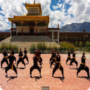 Kung FU APK
