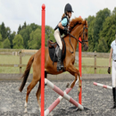 Equestrian Jumps APK