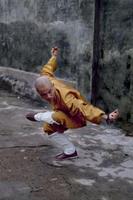 Kung Fu capture d'écran 1