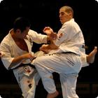 Shotokan Karate icône