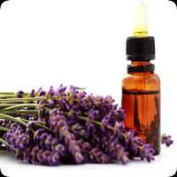 Essential Oils Guide Free পোস্টার