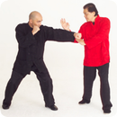 APK Wing Chun Techniques