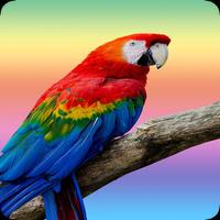 Parrot screenshot 1