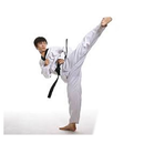 Karate Shotokan APK