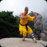 Kung FU Mastery plakat