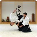 Aikido APK