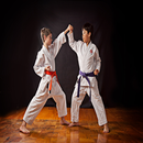 Shotokan Karate APK