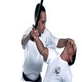 Krav Maga