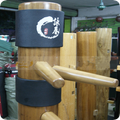Wing Chun