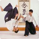 Aikido APK