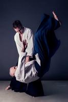 Aikido poster
