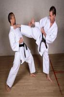Shotokan Karate Affiche
