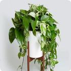 Indoor plants آئیکن