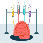 Brain Training icon