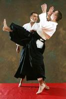 Aikido screenshot 1