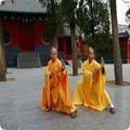 Kung Fu