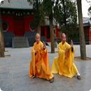 Kung Fu APK