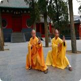 Kung Fu আইকন