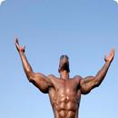 Abs Workout APK