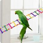 Parrot Training ikona