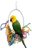 Parrot Training plakat
