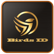 Online bird identification