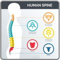 Chiropractic