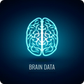 Brain Surgery