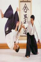 Aikido پوسٹر