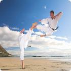 Shotokan Karate آئیکن