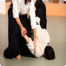 Learn Aikido APK