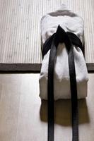 Learn Aikido Affiche