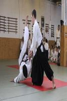Learn Aikido Affiche