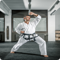 Shotokan Karate