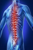 Chiropractor পোস্টার