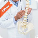 Chiropractor APK