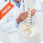 Chiropractor icon