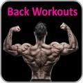 Back Workouts