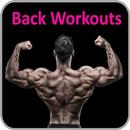 Back Workouts APK