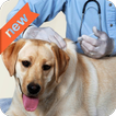 Dog vaccinations