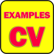 CV Examples – Free Resume App