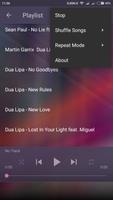 Dua Lipa - Music Mix スクリーンショット 2