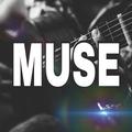 Best collections Muse - Greate