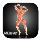 fitness trainer: weight gainer आइकन