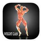 fitness trainer: weight gainer-icoon