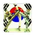 taekwondo wtf